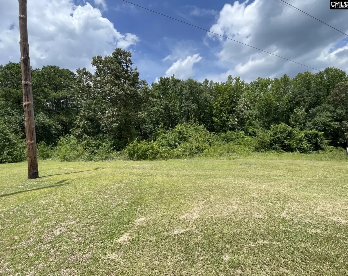 2232 Highway 1 South Highway, Elgin, SC 29045 - #1