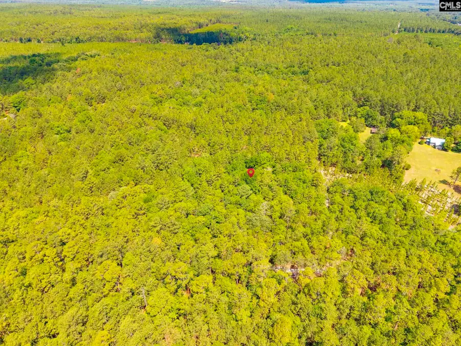974 A Highway 1 N, Cassatt, SC 29032 - #2