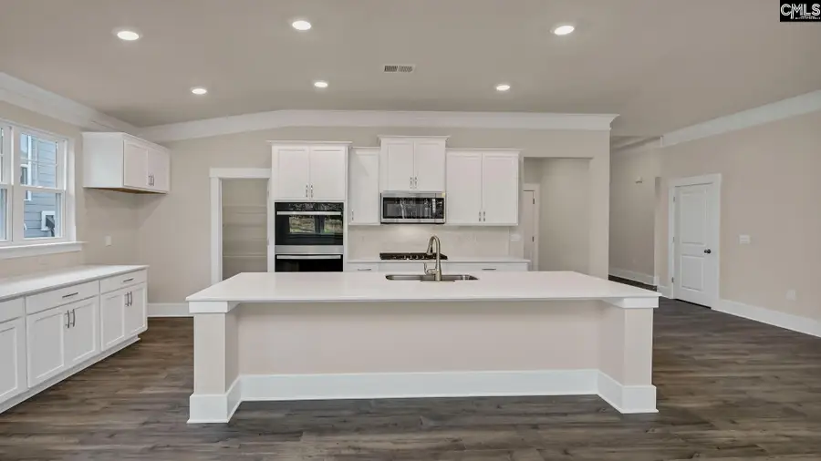 213 Sunny Stream Drive, Chapin, SC 29054 - #3