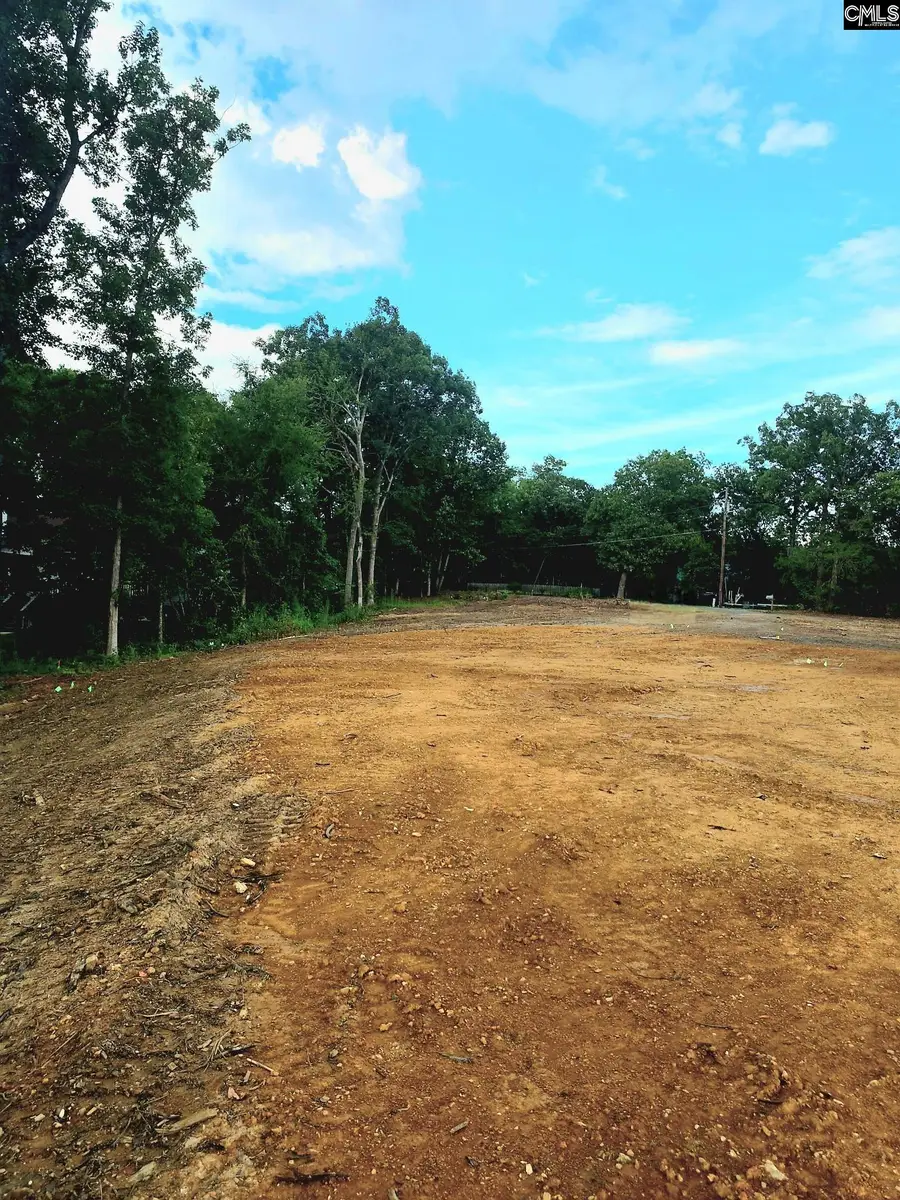 748 Crystal Lake Circle #Lot 3, Chapin, SC 29036 - #2