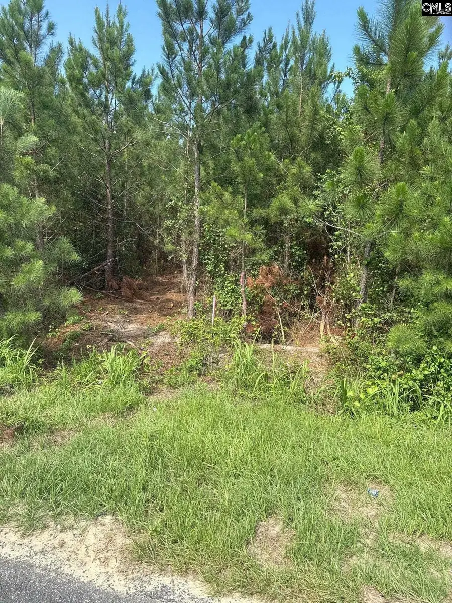 MPF 4 Mt. Pisgah Road, Jefferson, SC 29718 - #2