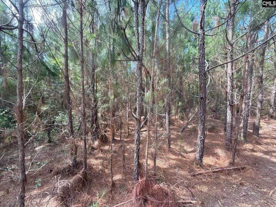 MPF 4 Mt. Pisgah Road, Jefferson, SC 29718 - #3