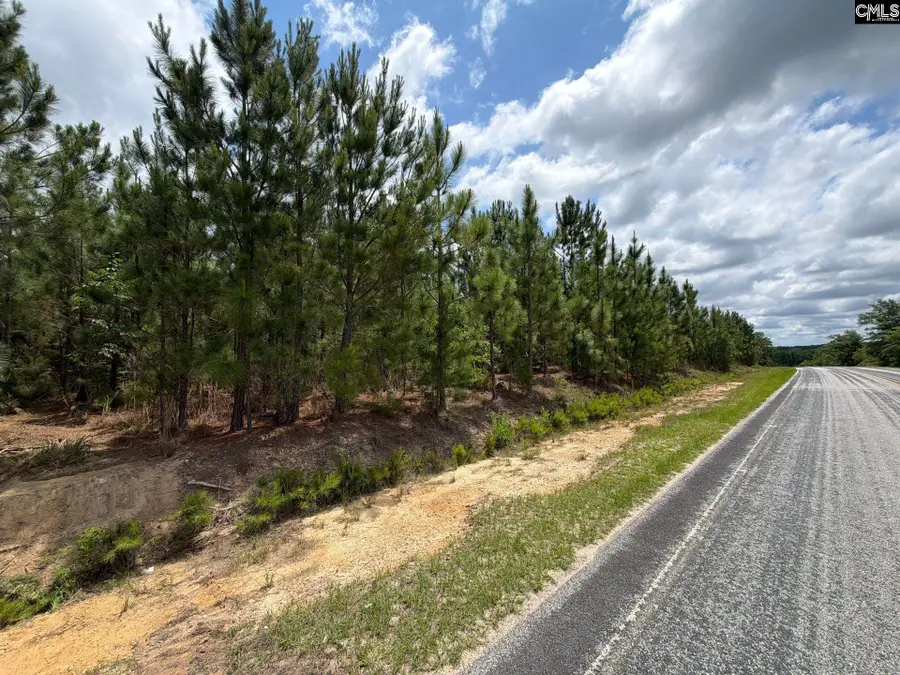 MPF 5 Mt. Pisgah Road, Jefferson, SC 29718 - #2