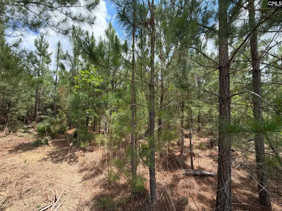 MPF 5 Mt. Pisgah Road, Jefferson, SC 29718 - #3