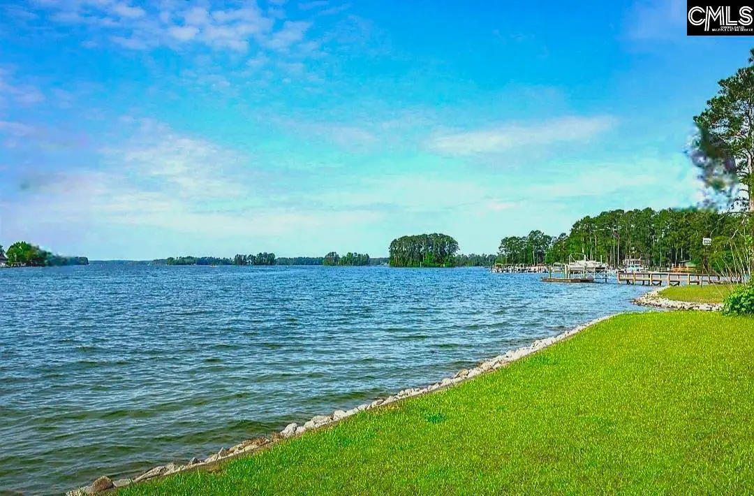 748 Crystal Lake Circle #Lot 1, Chapin, SC 29036 - #1