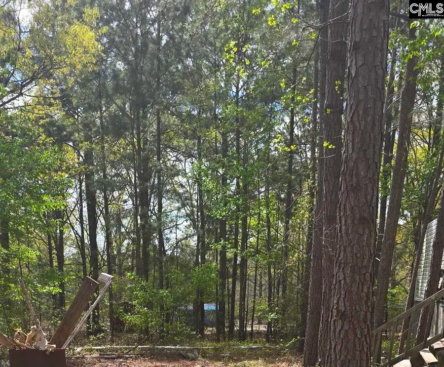 35 Simmons Drive, Camden, SC 29020 - #3