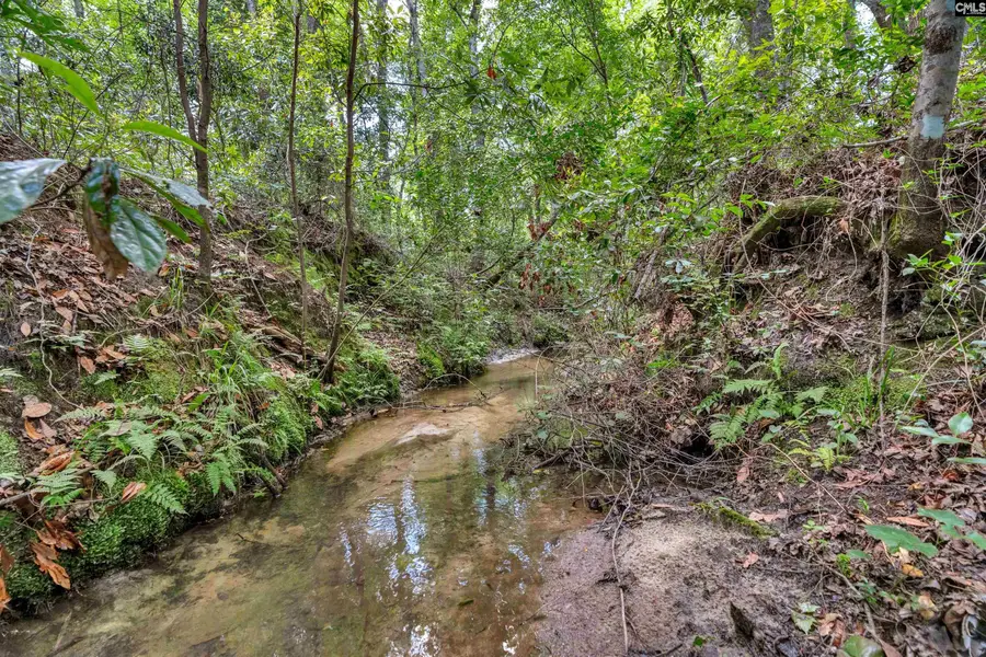 0000 June Burn Road, Manning, SC 29102 - #3