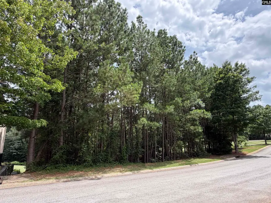 122 Peppermint Lane, Blythewood, SC 29016 - #2