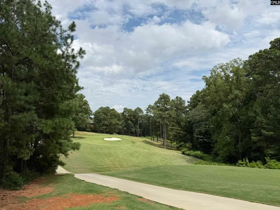 122 Peppermint Lane, Blythewood, SC 29016 - #3