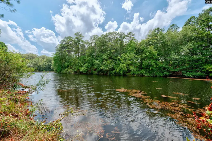 204 Sapphire Gem Lane, Elgin, SC 29045 - #2