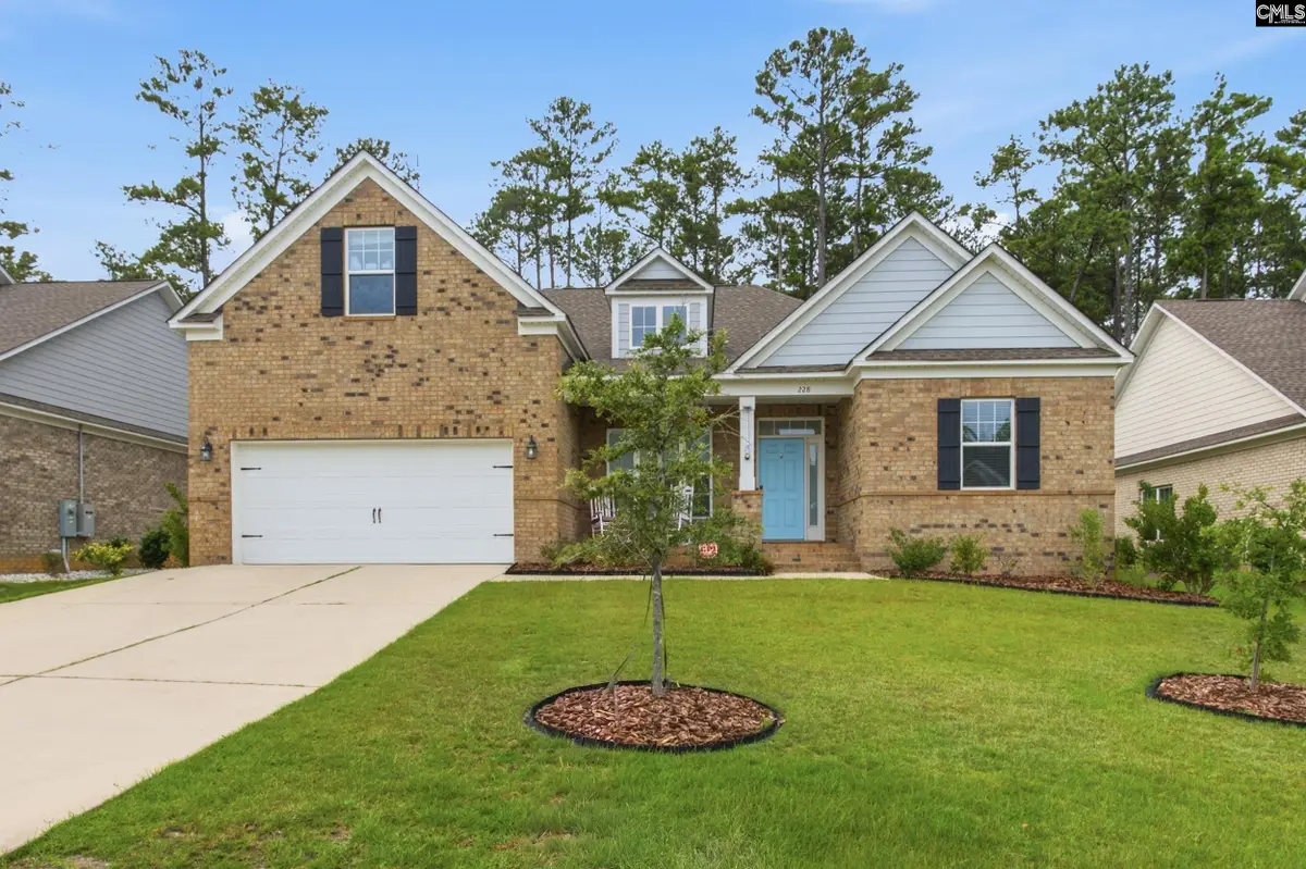 228 Cedar Hollow Lane, Irmo, SC 29063 - #1