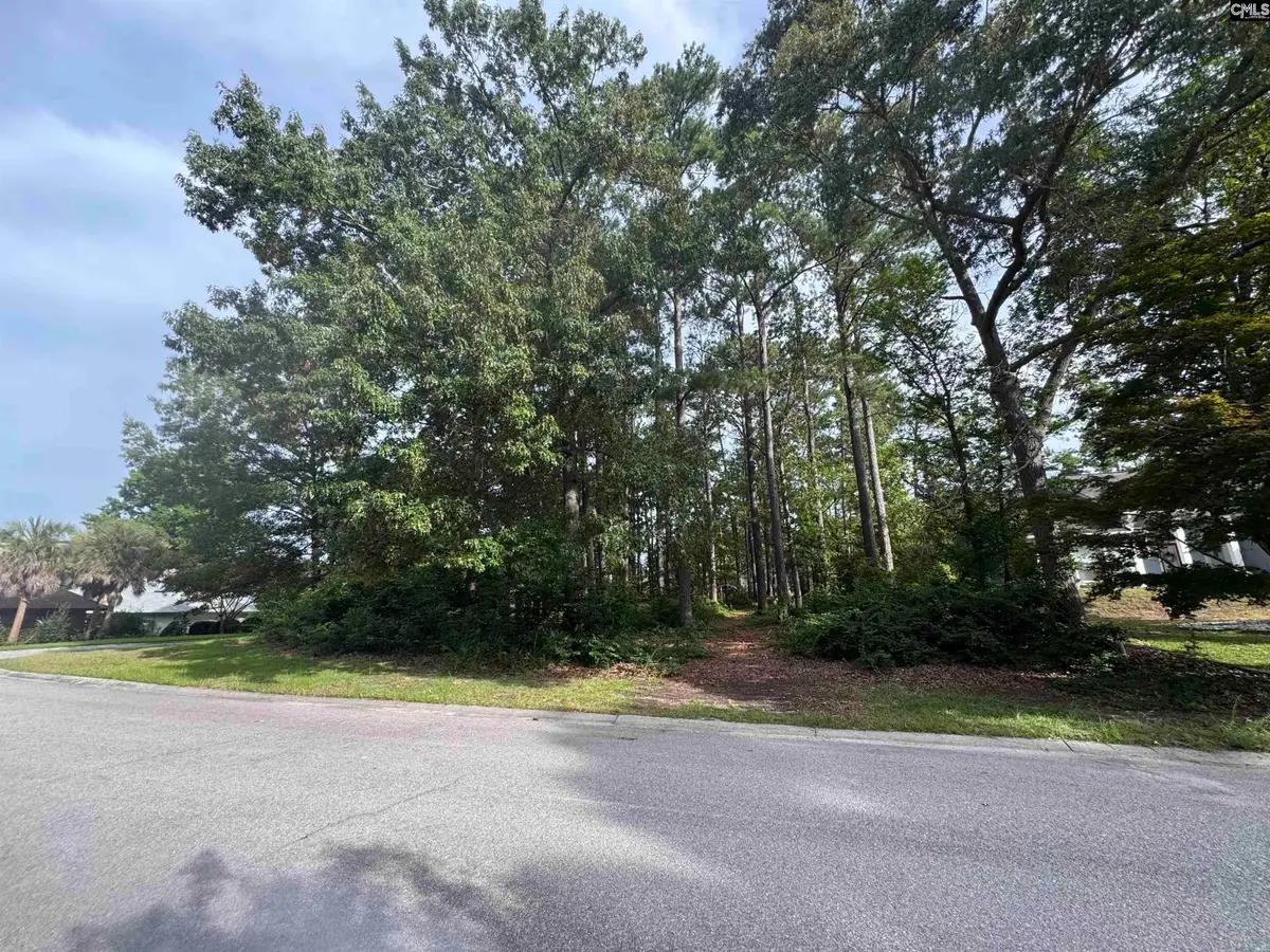 164 Emerald Lake Road, Columbia, SC 29209 - #1