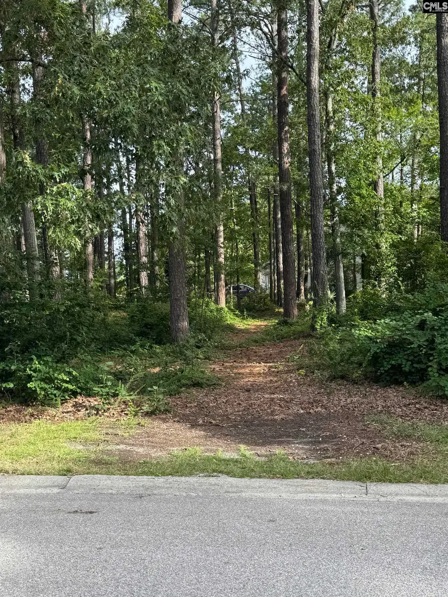 164 Emerald Lake Road, Columbia, SC 29209 - #2