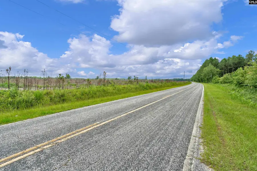 0000 N Brewington Road, Manning, SC 29102 - #2