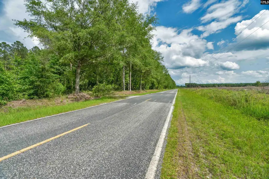 0000 N Brewington Road, Manning, SC 29102 - #3