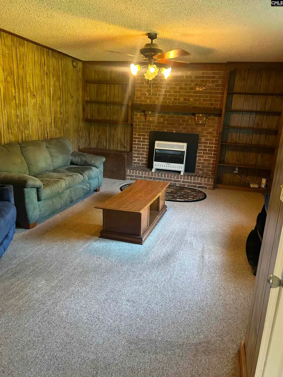 145 Harvey Berry Road, Pelion, SC 29123 - #3