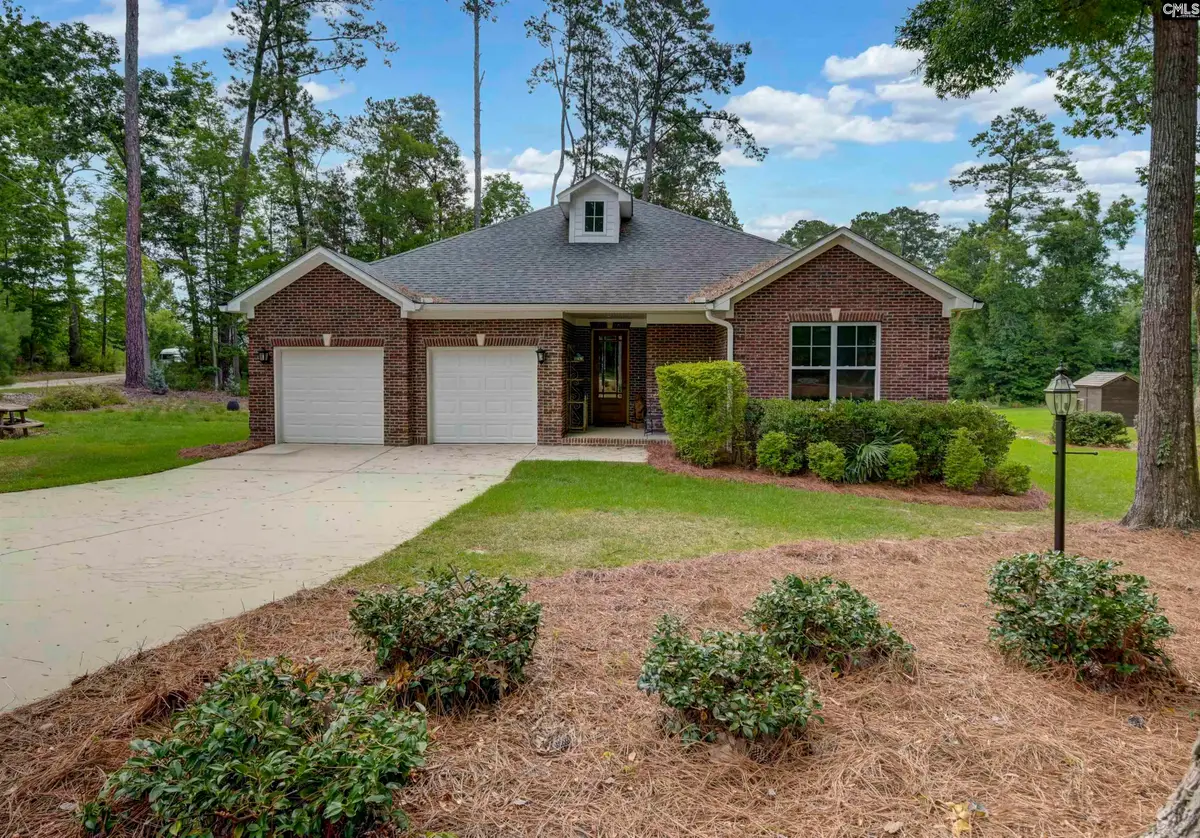 219 Hay Lee Drive, Chapin, SC 29036 - #1