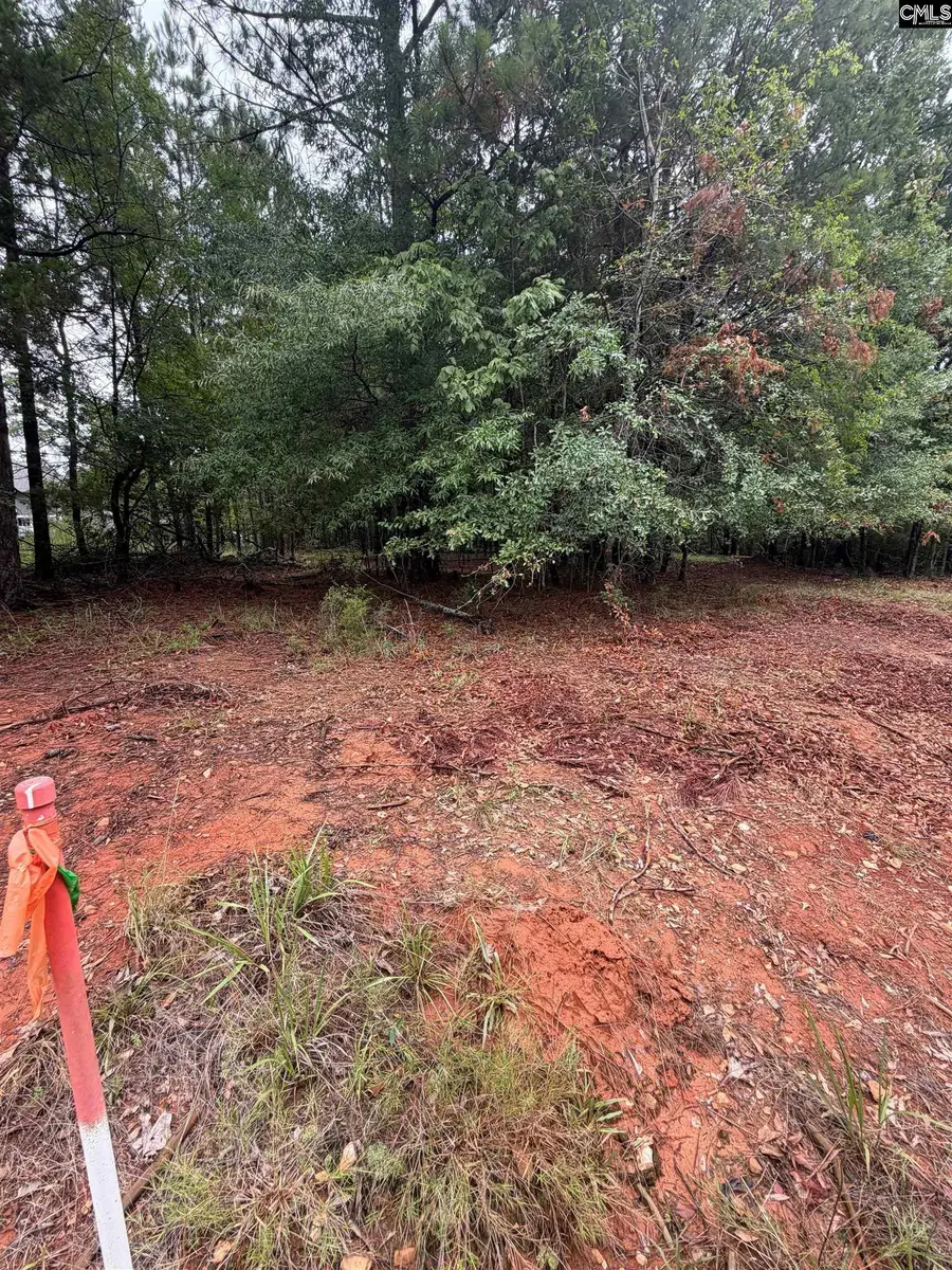 0 Newberry Shores Drive, Prosperity, SC 29127 - #2