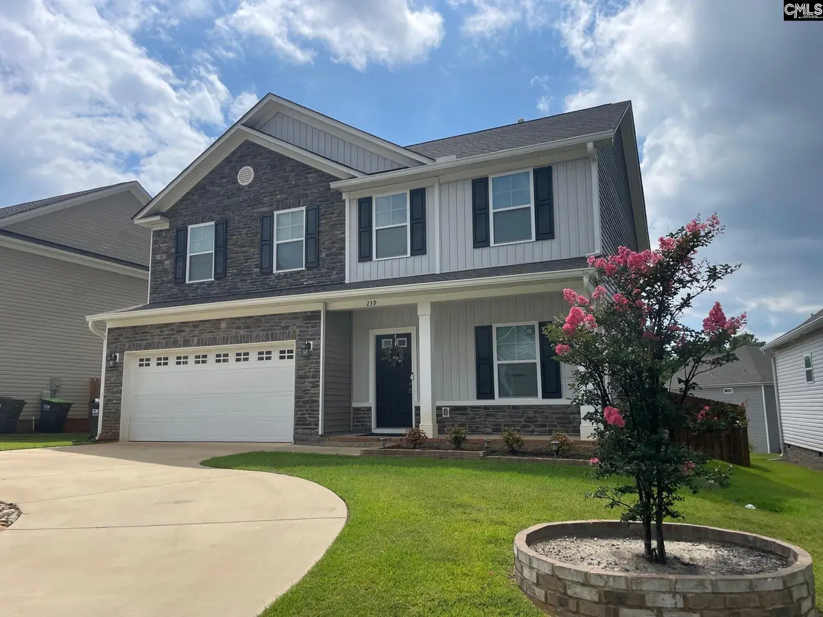 239 Doolittle Drive, Chapin, SC 29036 - #1