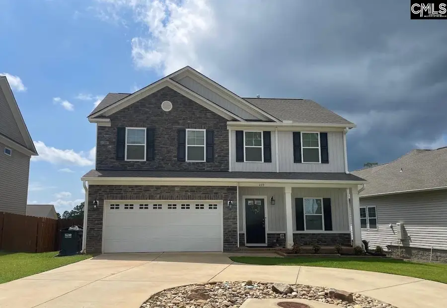 239 Doolittle Drive, Chapin, SC 29036 - #2