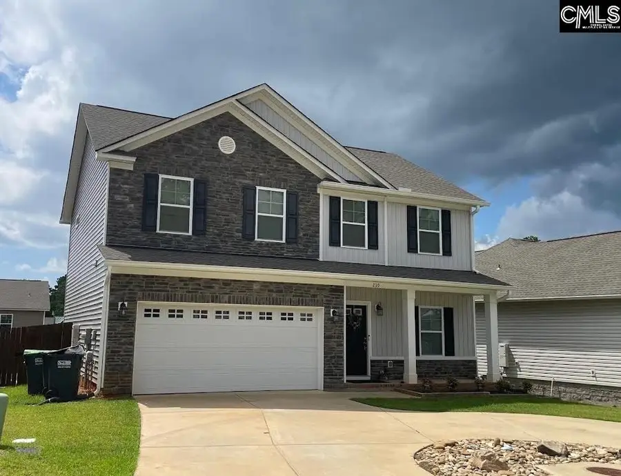 239 Doolittle Drive, Chapin, SC 29036 - #3