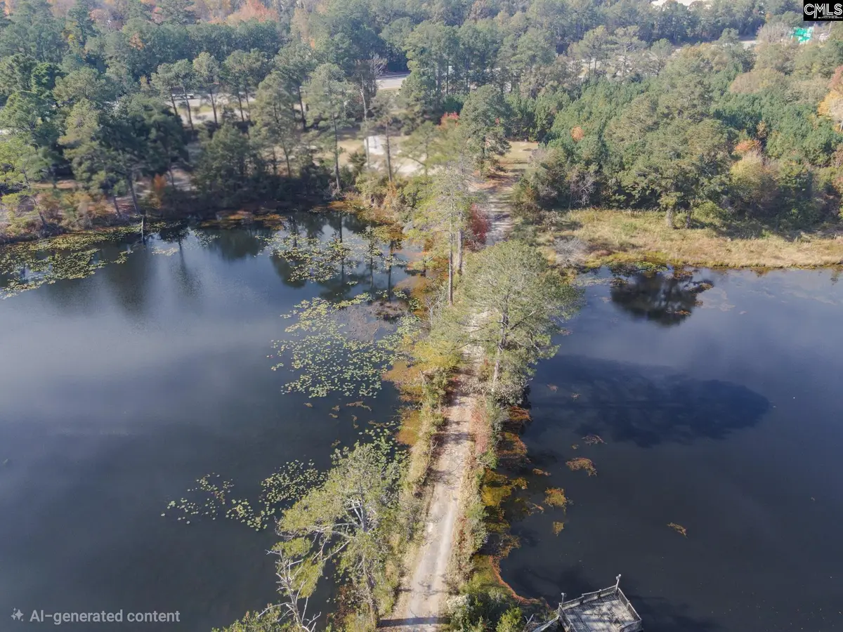 101 Moolah Drive, Columbia, SC 29223 - #1