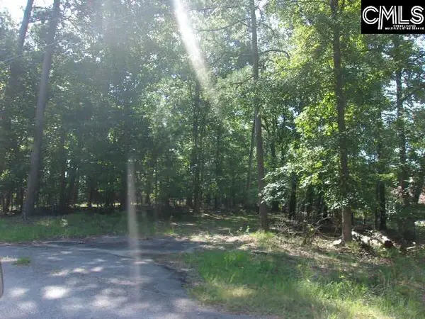 216 Rebecca Drive, Leesville, SC 29070