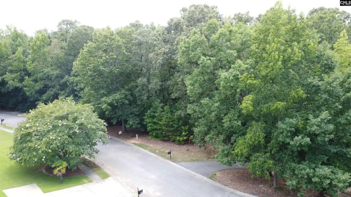 221 Leventis Lane, Lexington, SC 29072 - #1