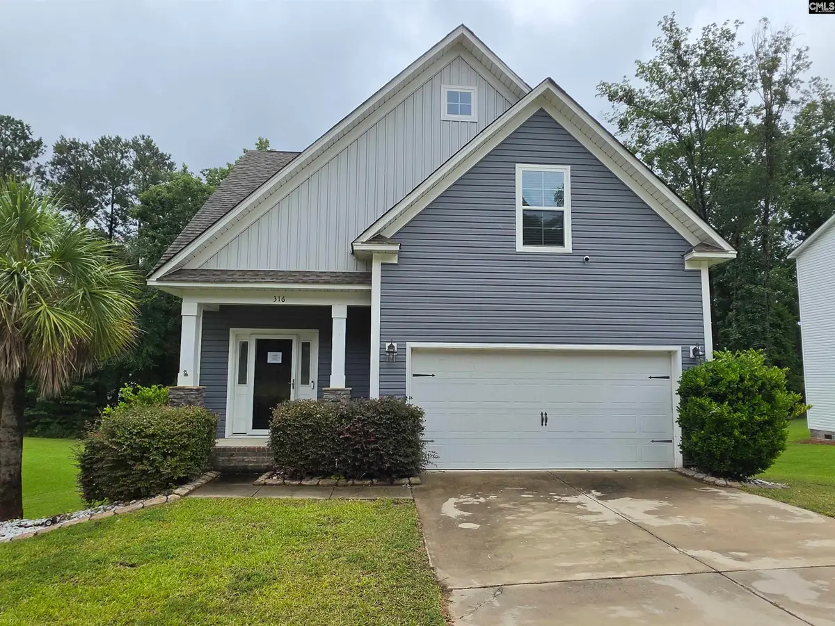 316 Dolly Horn Lane, Chapin, SC 29036 - #1