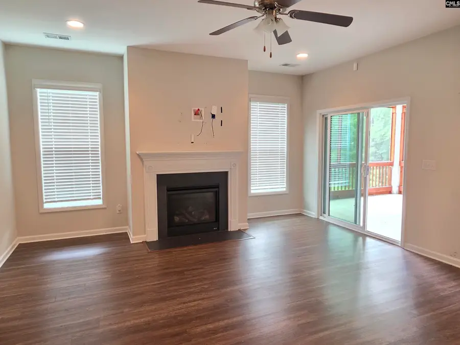 316 Dolly Horn Lane, Chapin, SC 29036 - #2