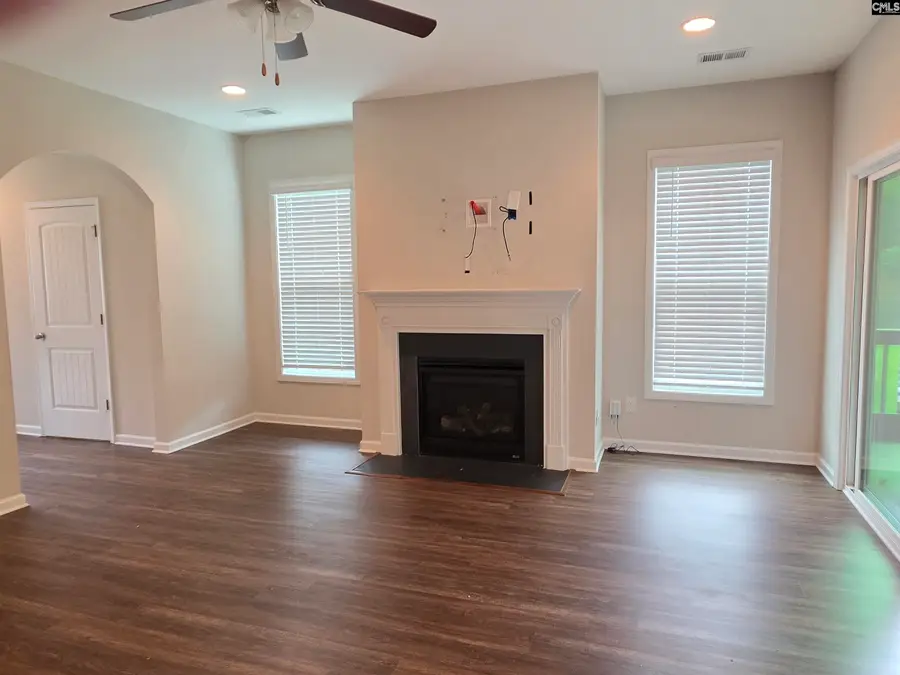 316 Dolly Horn Lane, Chapin, SC 29036 - #3