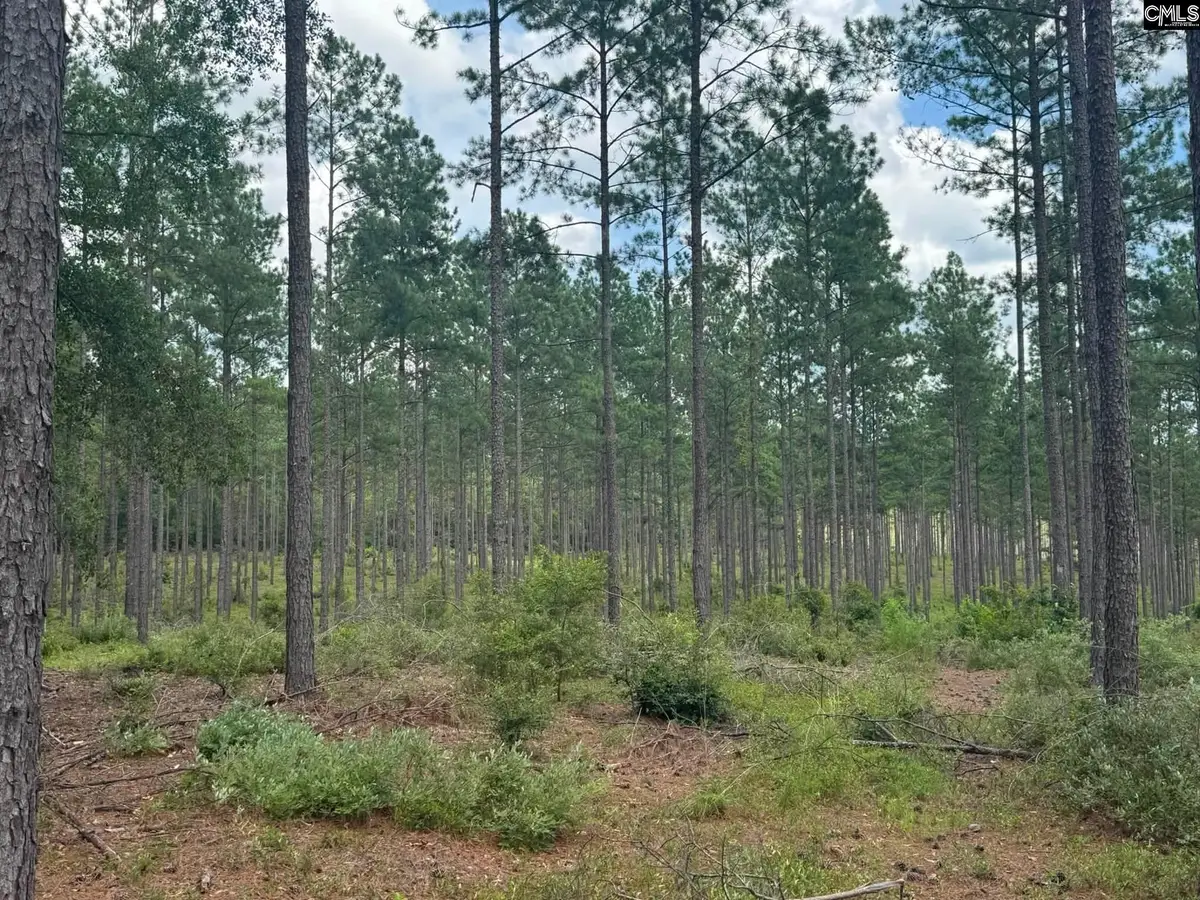 Beaver Creek Road, Swansea, SC 29160 - #1