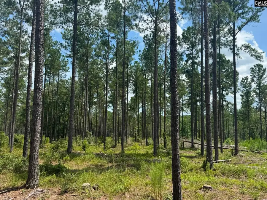Beaver Creek Road, Swansea, SC 29160 - #2