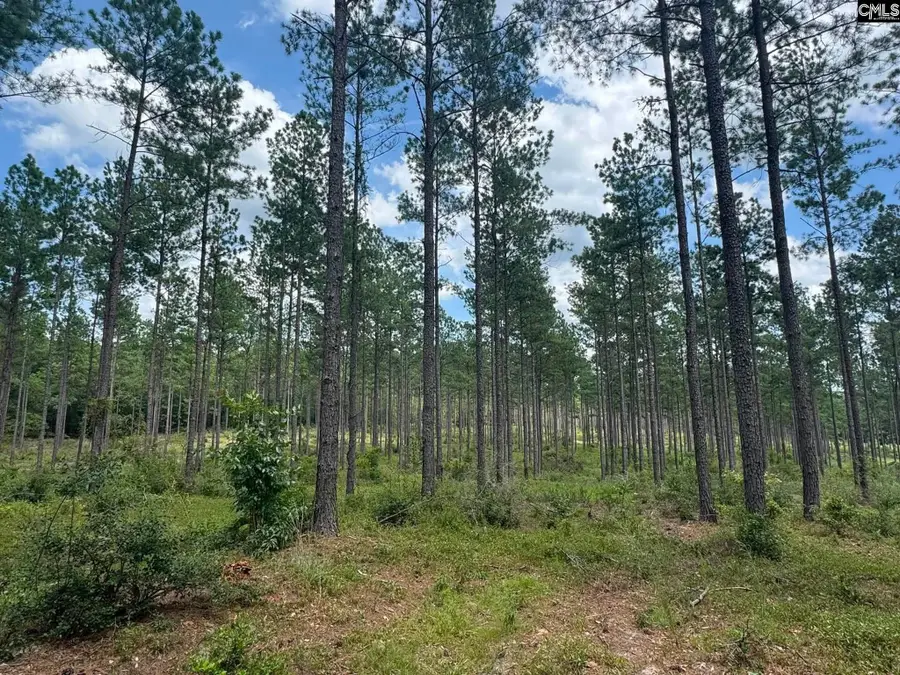Beaver Creek Road, Swansea, SC 29160 - #3