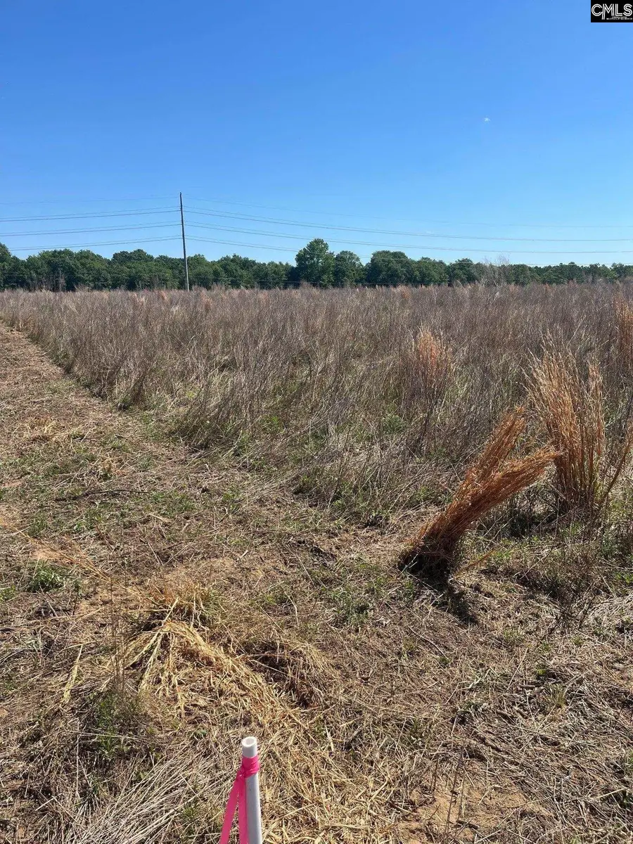 SDA 4 Salley Road, Salley, SC 29137 - #2