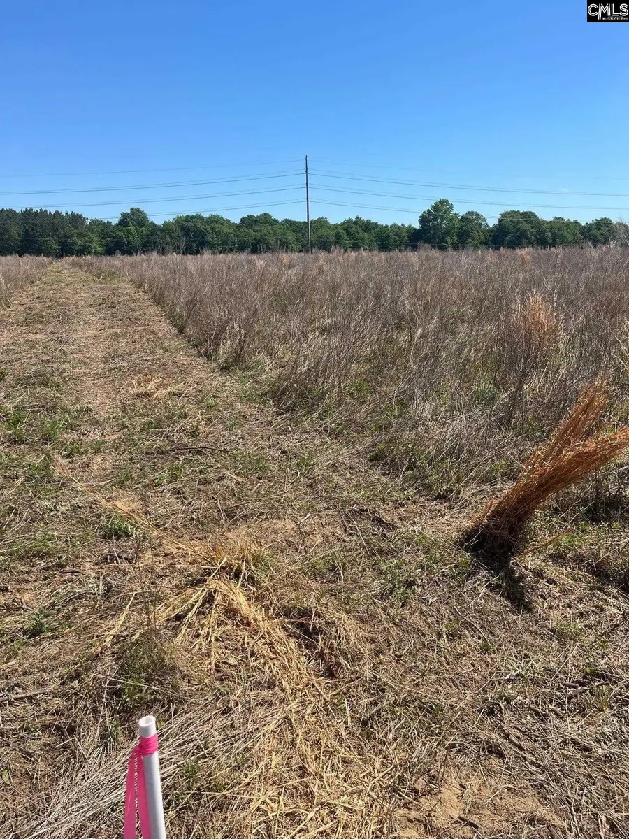 SDA 4 Salley Road, Salley, SC 29137 - #3