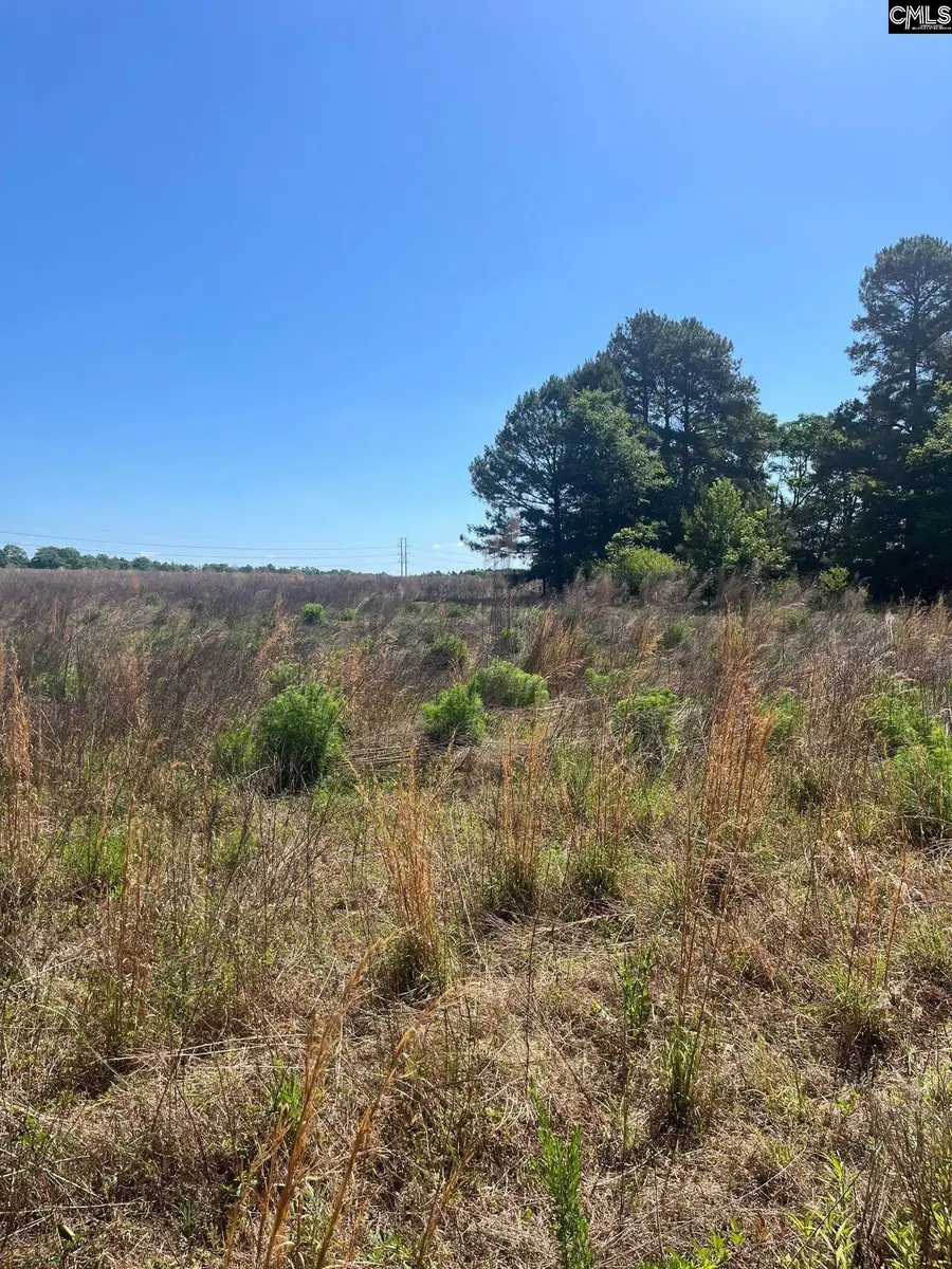 SDA 6 Salley Road, Salley, SC 29137 - #2