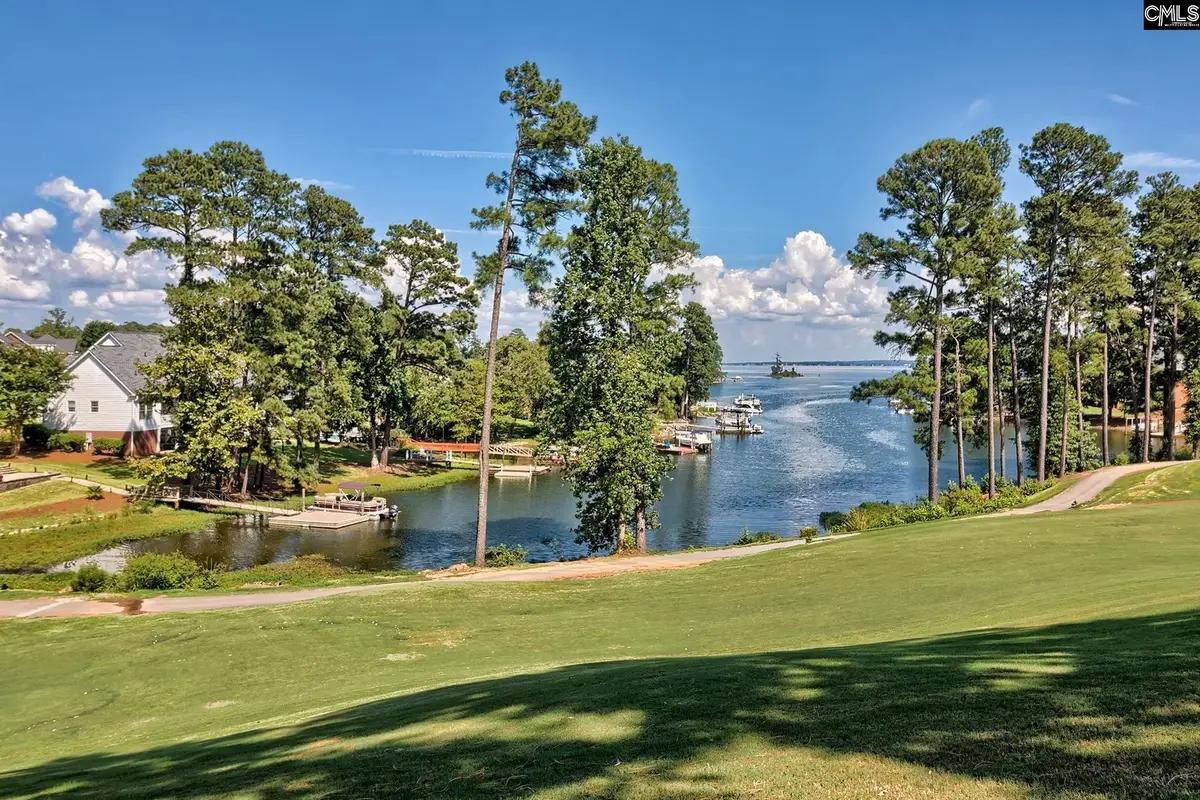 134 Fairway Ridge Drive, Chapin, SC 29036 - #1