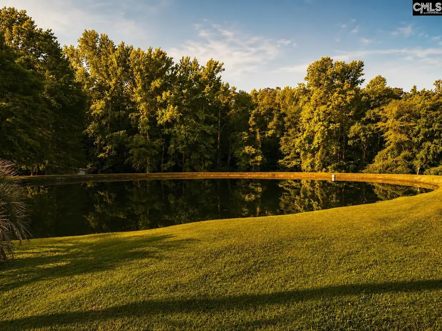 1941 Ray Price Road, Leesville, SC 29070 - #3