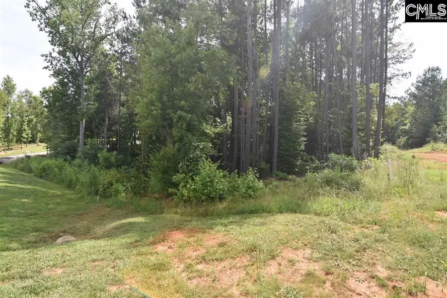 0 Longview Drive, Leesville, SC 29070 - #3