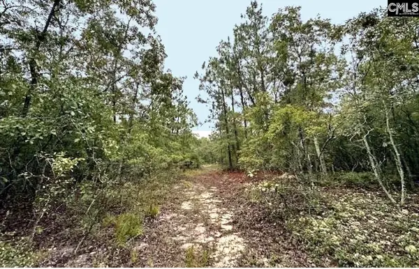 0 Fallaw Road, Gaston, SC 29053
