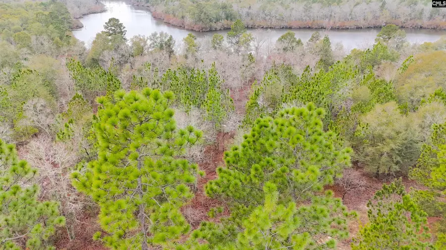 0 Browns Pond Road, Wagener, SC 29164 - #2