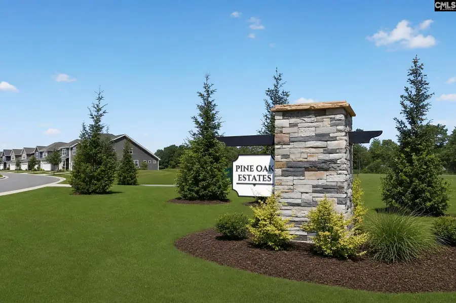 250 Foxglade Drive, Gilbert, SC 29054 - #3