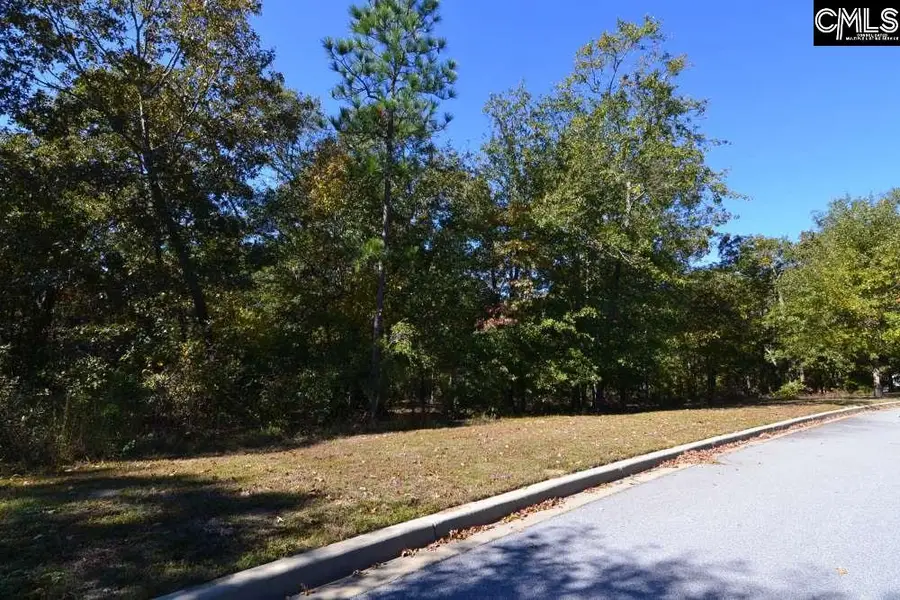 121 Montgomery Ridge Lane #4, Blythewood, SC 29016 - #3