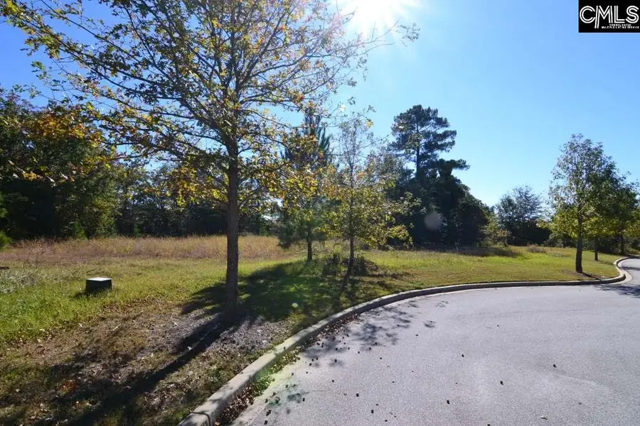 6 Blythe View Court #14, Blythewood, SC 29016 - #3