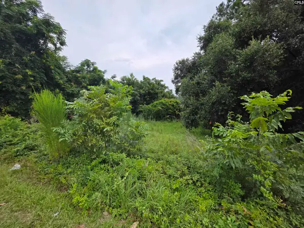 0 Hillsboro Road, Orangeburg, SC 29115
