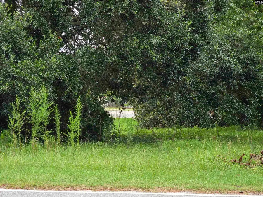 0 Hillsboro Road, Orangeburg, SC 29115 - #2