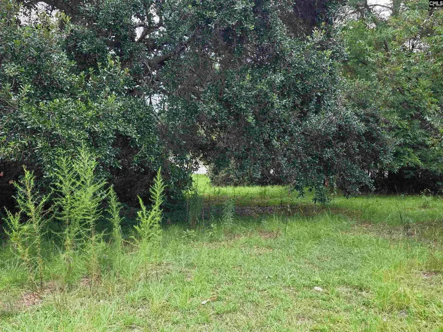 0 Hillsboro Road, Orangeburg, SC 29115 - #3