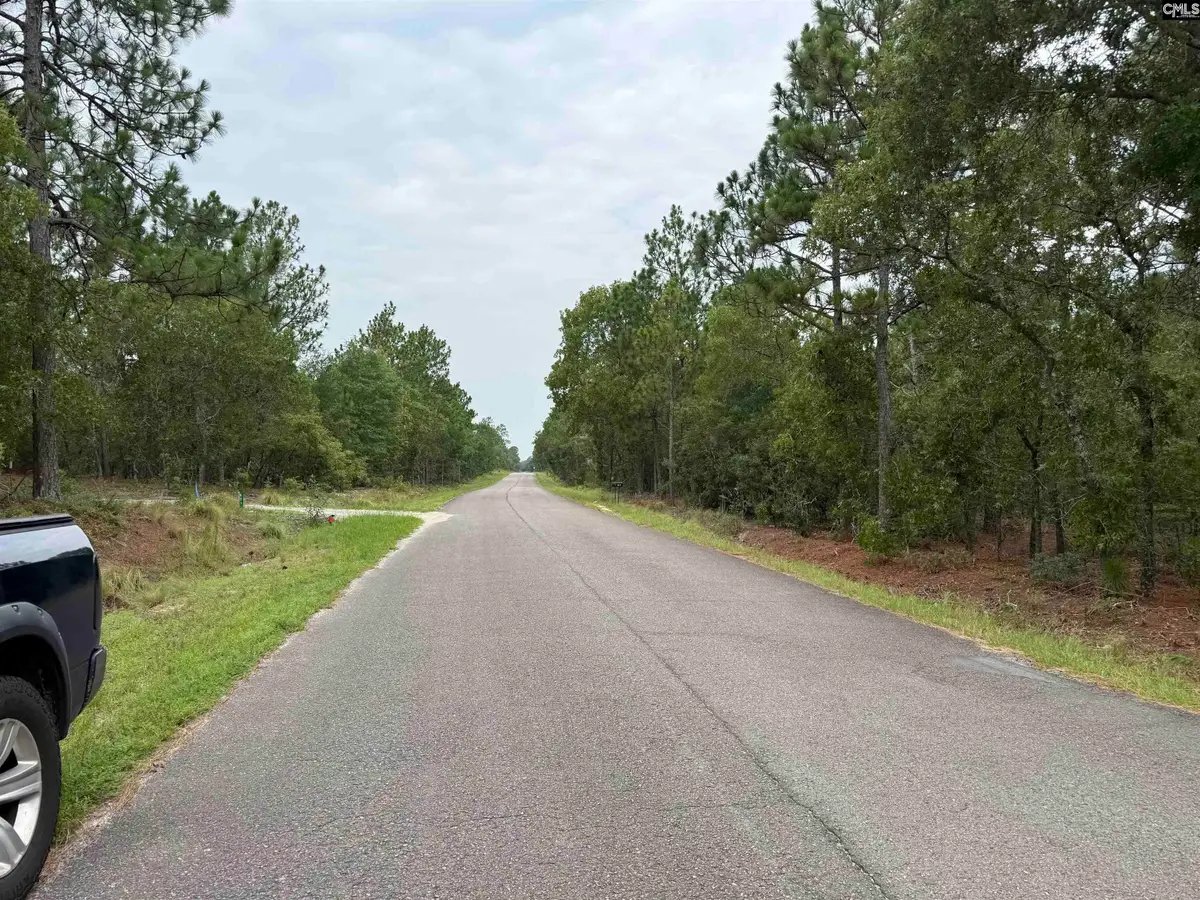 Near 615 Browns Pond Road, Wagener, SC 29164 - #1