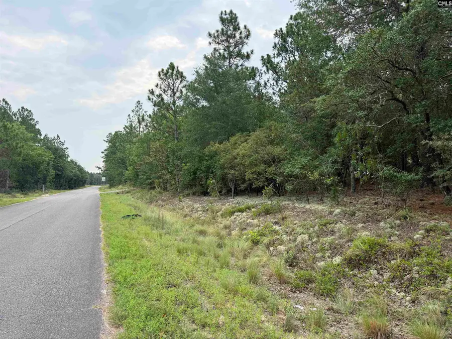 Near 615 Browns Pond Road, Wagener, SC 29164 - #2